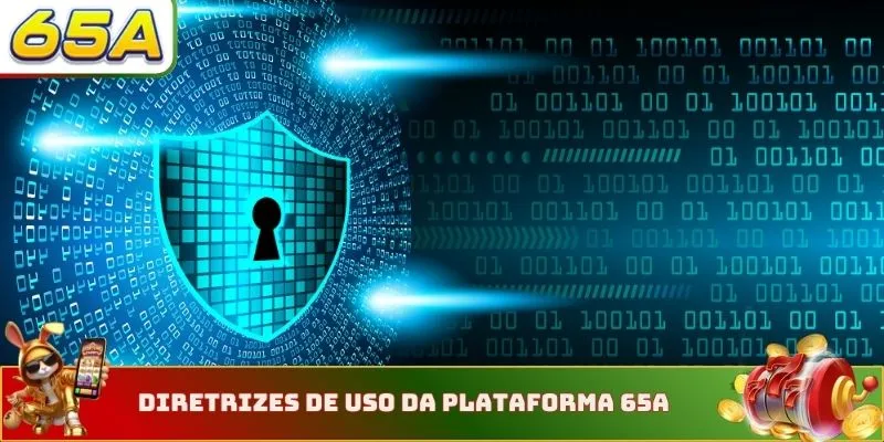 Diretrizes de uso da plataforma 65A