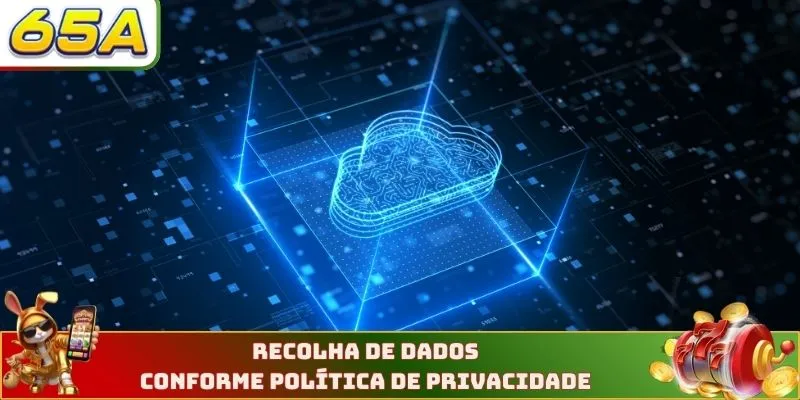 Recolha de dados conforme política de privacidade